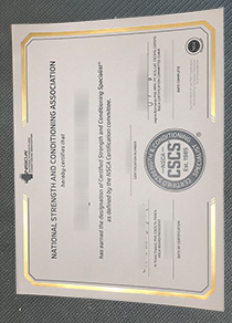 CSCS NSCA certificate, CSCS certificate