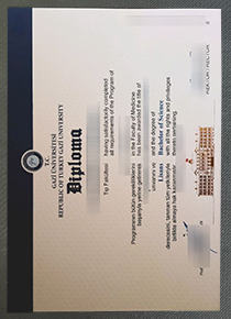 Gazi University diploma certificate