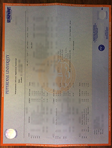 Pepperdine University transcript