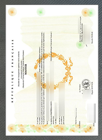 Université Toulouse 1 Diploma