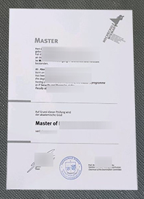 University of Wismar Master's diploma, 维斯马大学文凭样本
