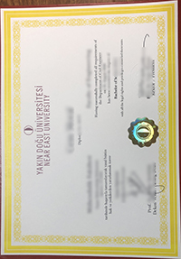 Near East University diploma certificate