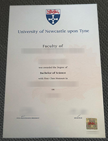 Newcastle University degree
