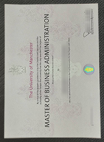 University of Manchester degree