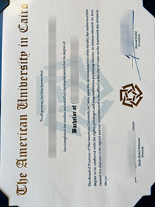 American University in Cairo degree certificate