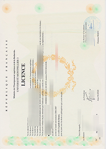 Universite Montpellier 3 diploma diploma sample