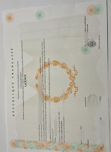 Université Paris 8 Licence certificate