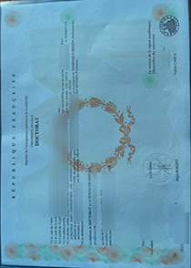 Université de Lille diploma certificate