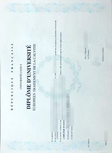 Université Lyon 1 diploma certificate
