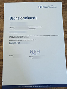 Hamburger Fern-Hochschule Urkunde certificate