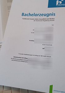 Hochschule Magdeburg-Stendal Zeugnis sample