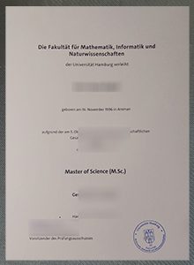 Universität Hamburg Urkunde sample