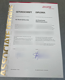Avans Hogeschool Getuigschrift sample