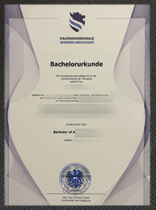 Fachhochschule Wiener Neustadt degree
