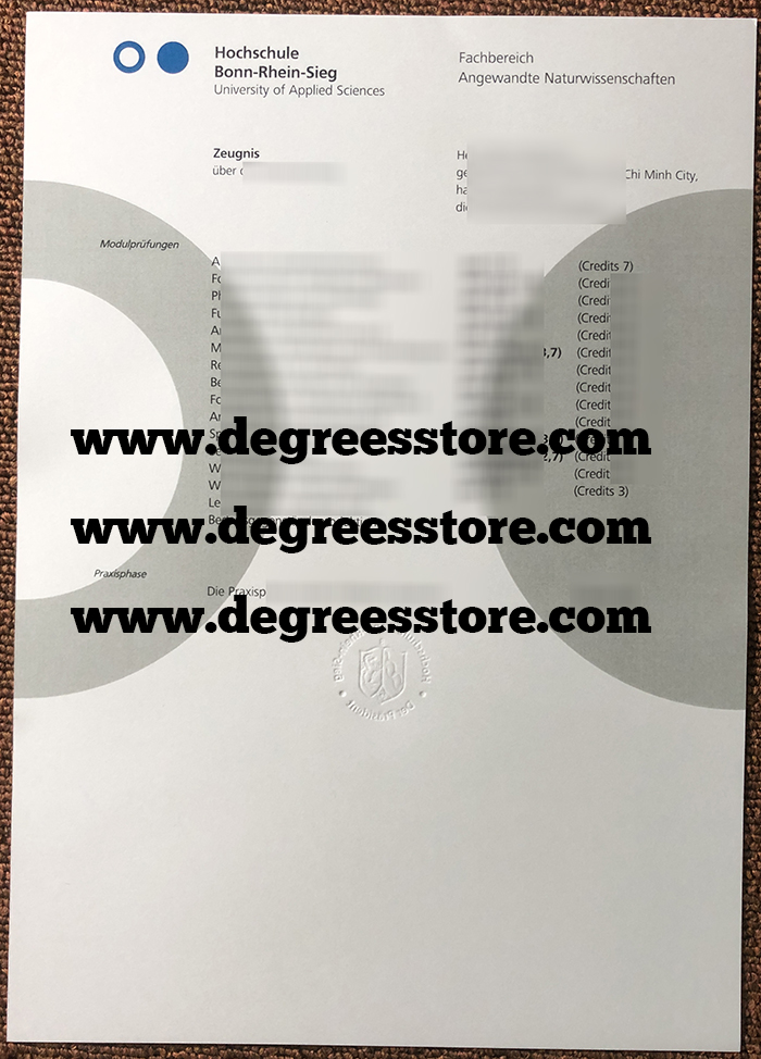 Hochschule Bonn-Rhein-Sieg Zeugnis sample