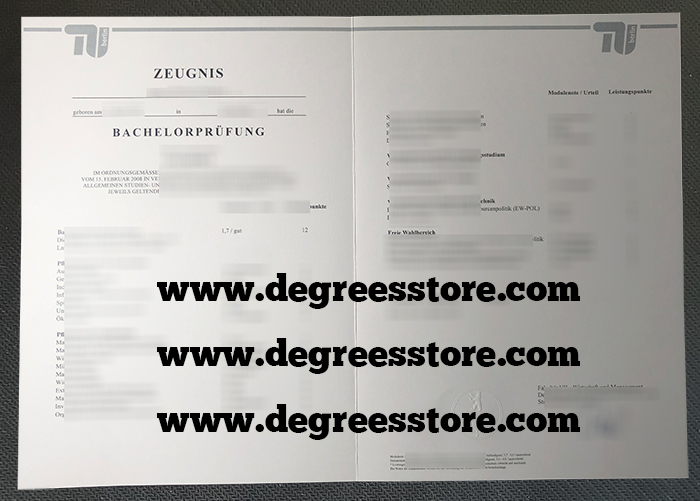 Technische Universität Berlin transcript