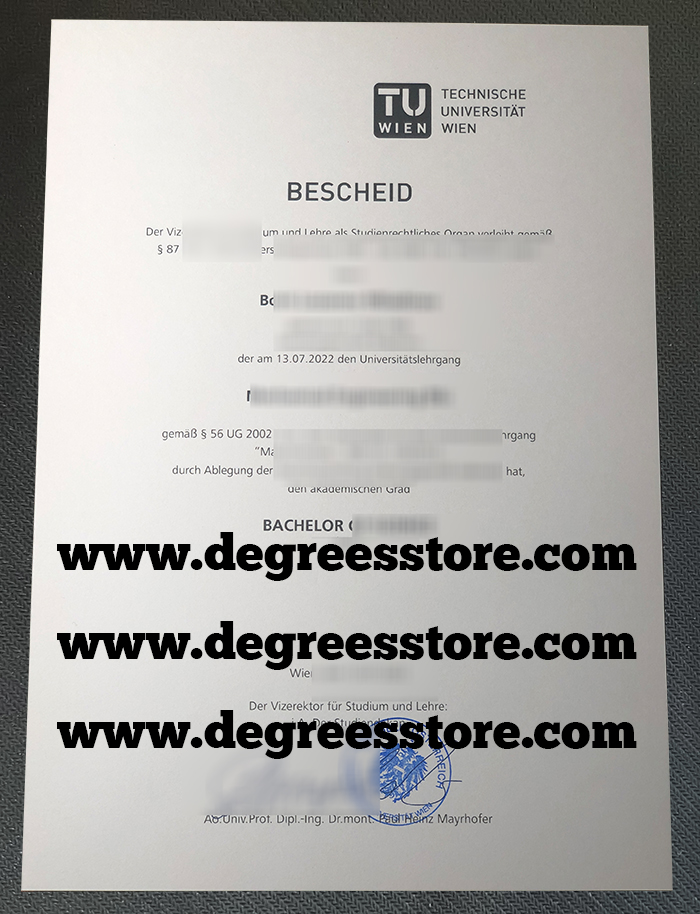 Technische Universität Wien degree