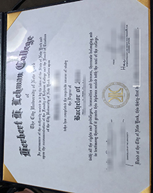 Lehman College degree