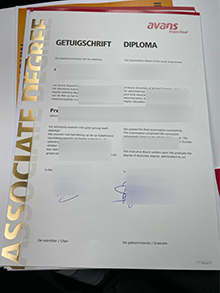 Avans Hogeschool Getuigschrift diploma, 订购艾文斯应用科技大学文凭证书样本