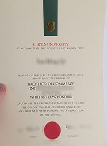 Curtin University degree
