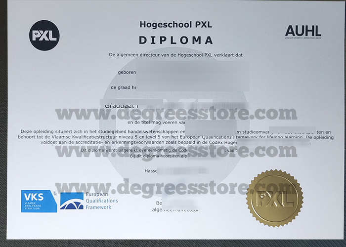 Hogeschool PXL diploma, 订购PXL 大学学院文凭证书