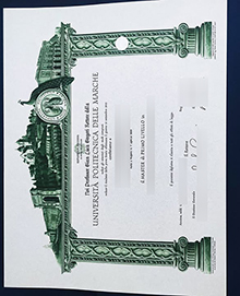 Università Politecnica delle Marche Laurea