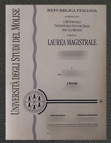 Università degli Studi del Molise diploma sample