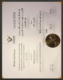 Al Ain University degree sample