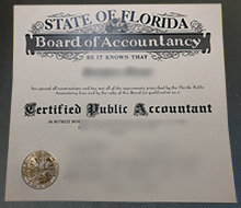 Florida CPA certificate sample