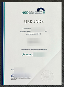 HSD Hospital Döpfer Urkunde