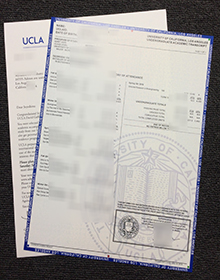 UCLA成绩单, UCLA transcript