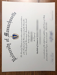 University of Massachusetts BSc diploma