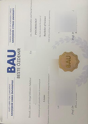 Bahçeşehir Kıbrıs Üniversitesi Degree