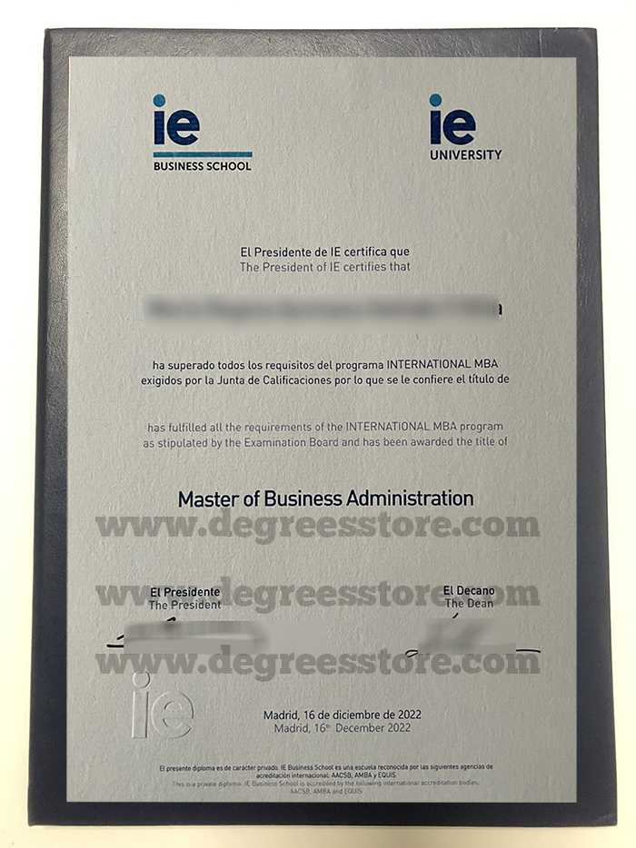 IE Business School degree