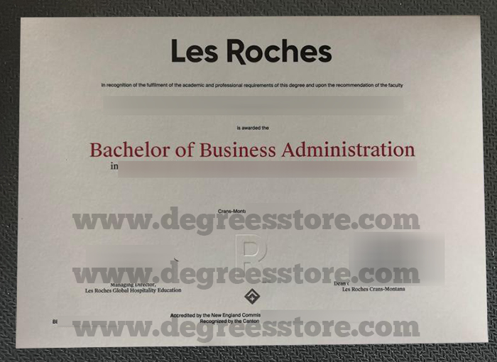 Les Roches diploma