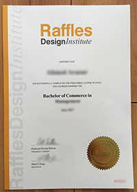 Raffles Design Institute degree sample