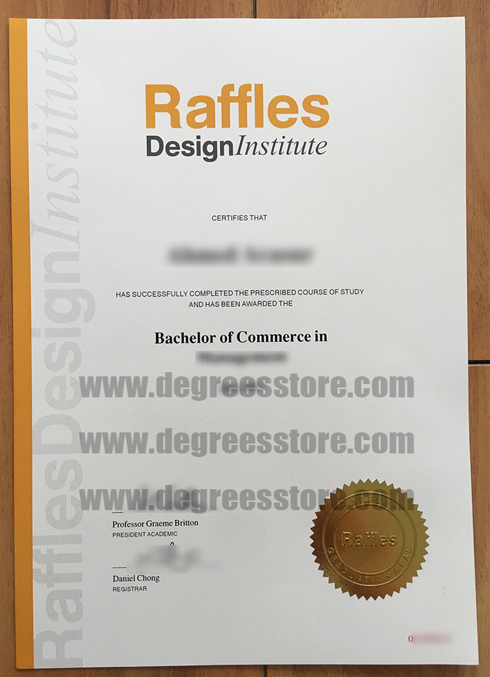 Raffles Design Institute degree