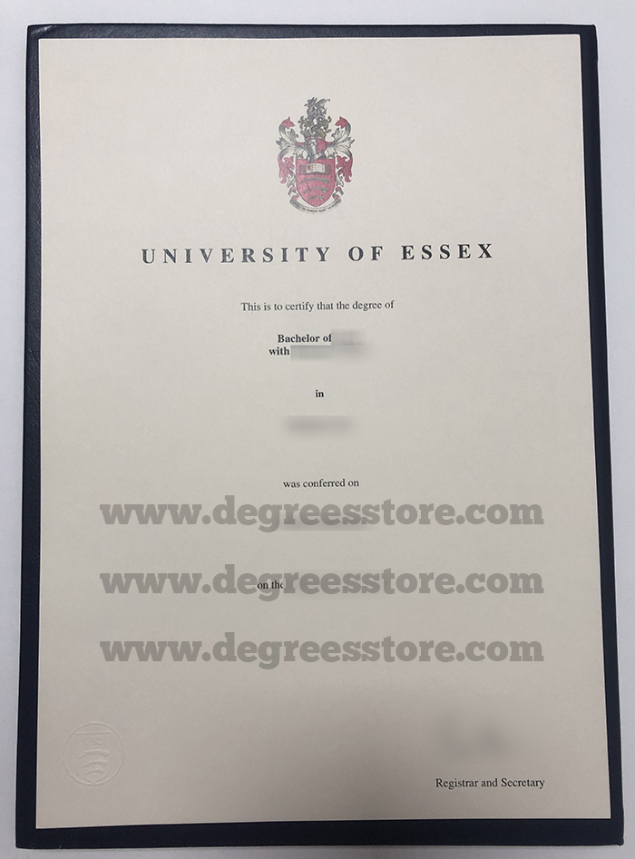 University of Essex Degree