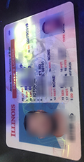 伊利诺伊州驾照