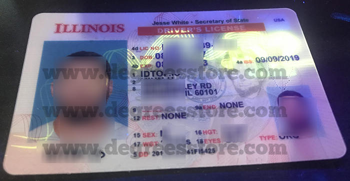 伊利诺伊州驾照