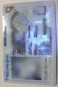 内华达州驾驶证ID