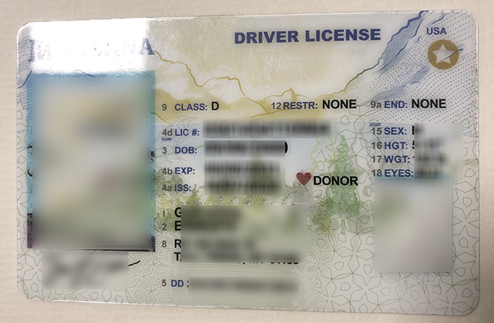 蒙大拿州驾驶执照