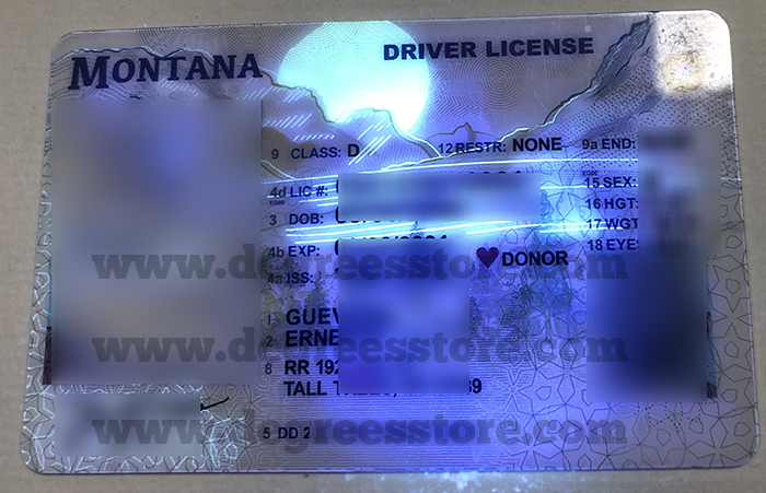 蒙大拿州驾驶执照ID