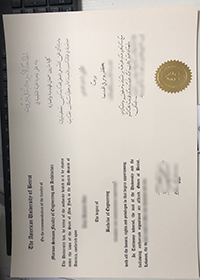 American University of Beirut diploma certificate