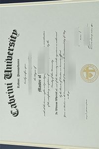 Cabrini University diploma certificate