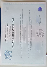 České vysoké učení technické v Praze diploma sample