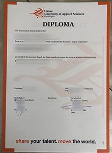 Hanzehogeschool Groningen diploma and cover