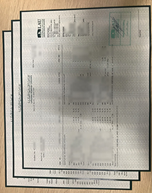 Lebanese American University transcript