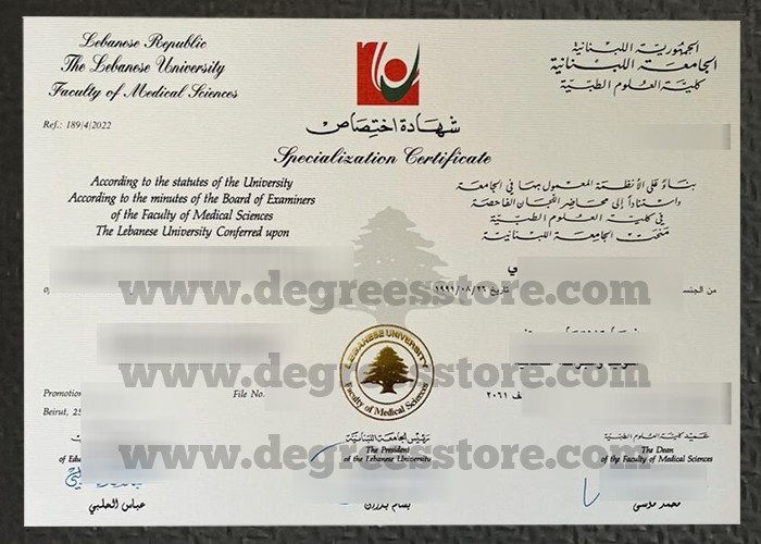 Lebanese University diploma