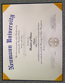Neumann University diploma certificate